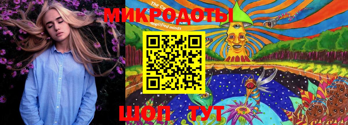 Псилоцибиновые грибы Psilocybine cubensis Киселёвск