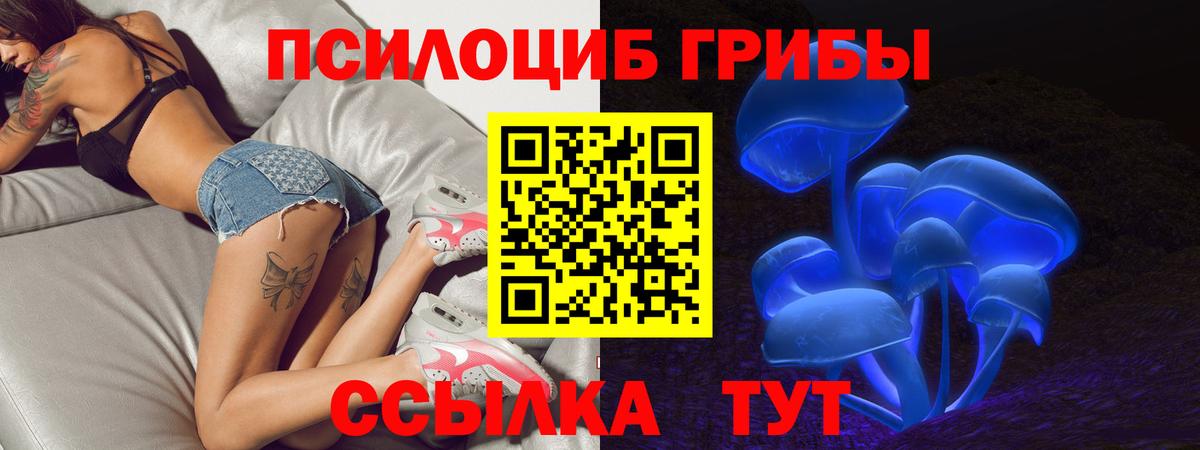 Киселёвск  Галлюциногенные грибы ЛСД  Вход с VPN 